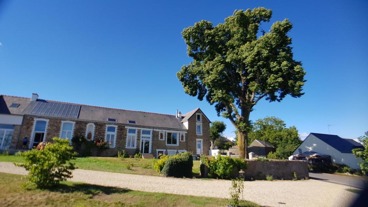 Belle Visnonia B&B Gluten Free & Traditional Béganne Kültér fotó