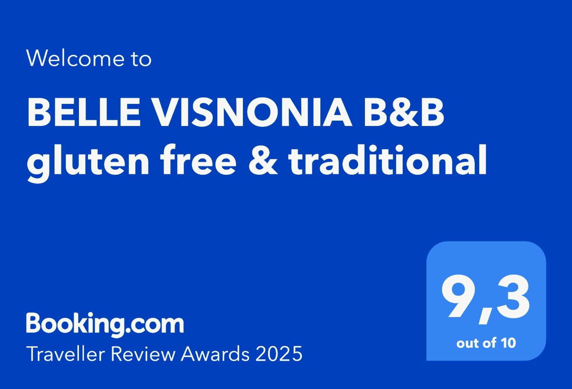 Belle Visnonia B&B Gluten Free & Traditional Béganne Kültér fotó